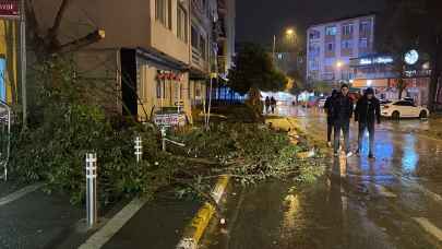 Balıkesir’de FIRTINA ağaçları ve otobüs durağını devirdi!