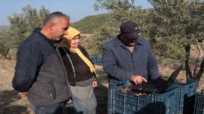 Hatay’da zeytin hasadı işçileri AA’nın ”Yılın Fotoğrafları” oylamasına katıldı