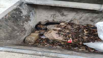 Uşak’ta çöpe attığı köpeği darbettiği iddiasıyla yakalanan kişi serbest bırakıldı