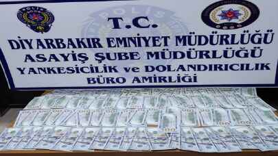 Diyarbakır’da esnafın 10 bin dolarını çalan 2 yankesici tutuklandı 