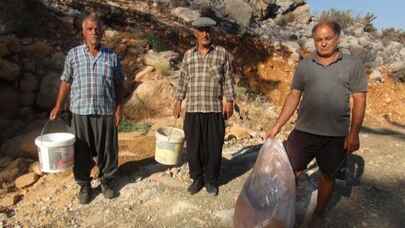 Mersin’de yangın bölgesindeki hayvanlara yem desteği