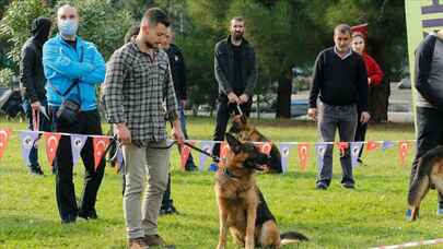 Uluslararası Köpek Irkları Yarışması