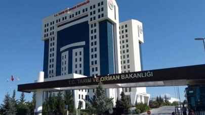 Tarım ve Orman Bakanlığı'ndan İş İlanı