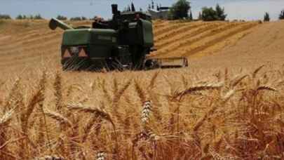 Bazı yağlarda Gümrük Vergisi sıfırlandı