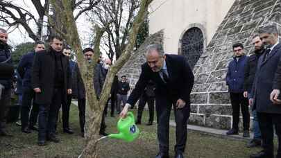 Bursa'da rivayet gerçek oldu... Türbenin önüne nar ağacı dikildi