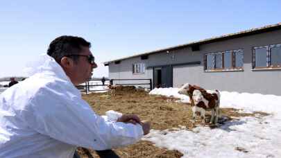 Erzurum'da koyun kanından tıbbi laboratuvarlarda kullanılacak materyal üretilecek