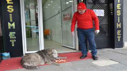 "Kedi Yeşim" ile tanınan Manisalı kasabın "sevimli müşterileri" eksik olmuyor