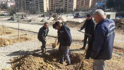 Kilis'te yeni açılan cadde ve bulvarlara ağaç dikimi yapıldı