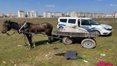 Kırklareli'nde polisin kovaladığı iki hırsızlık zanlısı at arabasını bırakıp kaçtı