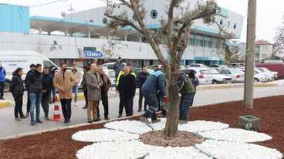 Manisa Akhisar'da peyzaj çalışması