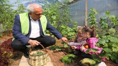 Mersin'de kreş öğrencileri yetiştirdikleri sebzelerin hasadını yaptı