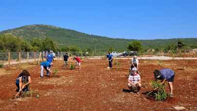 Muğla Büyükşehir’den yaşlı ve engelli vatandaşlar için ceviz bahçesi