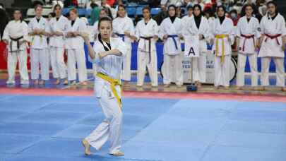 SAKARYA - Budokaido Kumite ve Kata Türkiye Şampiyonası başladı