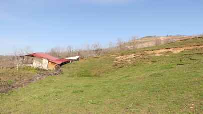 Samsun'da heyelan sonucu bağ evi yıkıldı, yolda çökmeler oluştu