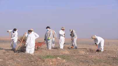 Sincar'da 2014'ten bu yana Ezidilere ait 81 toplu mezar bulundu