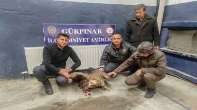 Yaralı akbabaya Gürpınar polisi sahip çıktı