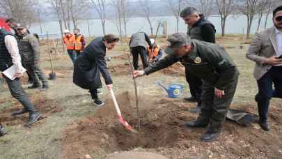 Bolu'da bu yıl 600 bini aşkın fidan toprakla buluşturulacak