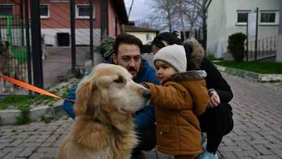 Bursa Osmangazi'de 78 can dost sıcak yuvaya kavuşturuldu