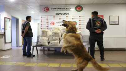 Cilvegözü'ndeki uyuşturucu operasyonunda yakalanan 8 şüpheliden ikisi tutuklandı