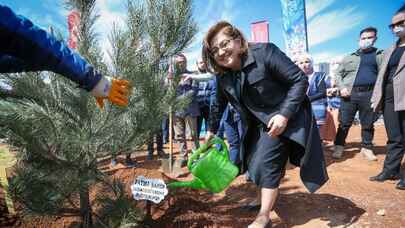 Gaziantep Büyükşehir 250 karaçam dikimi yaptı 