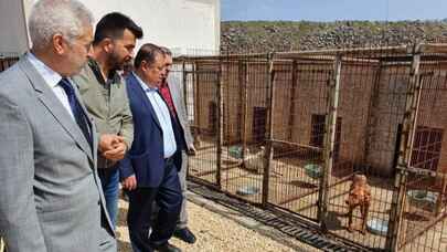 Kilis Belediye Başkanı Ramazan: “Hayvanlar rabbim tarafından bizlere emanet edilmiştir”