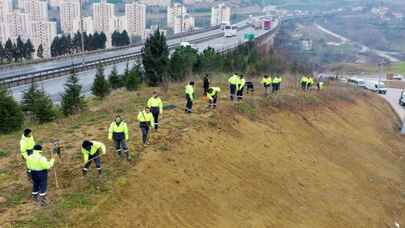 Kocaeli Şehir Hastanesi'nde yolunda çevre düzenlemesi