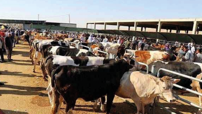 Sudan’da kurban pazarlarında durgunluk yaşanıyor