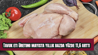 Tavuk eti üretimi mayısta yıllık bazda yüzde 11,6 arttı