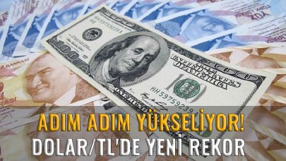 Adım adım yükseliyor: Dolar/TL'de yeni rekor