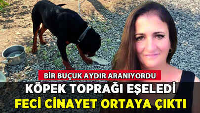 Köpek toprağı eşeleyince feci cinayet ortaya çıktı