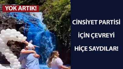 Yok artık! Cinsiyet partisi için çevreyi hiçe saydılar!