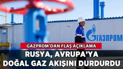 Rusya, Avrupa'ya doğal gaz akışını durdurdu