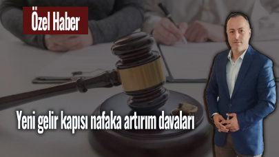 Yeni gelir kapısı nafaka artırım davaları