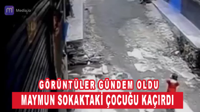 Maymunun sokaktaki çocuğu kaçırdığı görüntüler gündem oldu