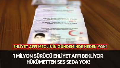 Ehliyet affı Meclis'in gündeminde neden yok!