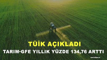 TÜİK: Tarım-GFE yıllık yüzde 134,76 arttı