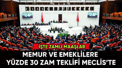 Memur ve emekli maaşlarına yüzde 30 zam teklifi Meclis'te