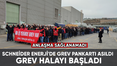 Schneider Enerji'de grev başladı