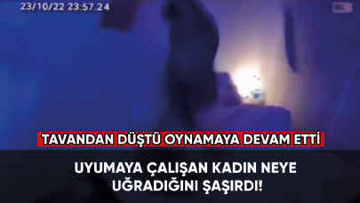 Uyuyamaya çalışan kadın neye uğradığını şaşırdı! Tavandan düştü oynamaya devam etti