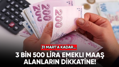 3 Bin 500 lira emekli maaş alanların dikkatine! 31 Mart'a kadar...