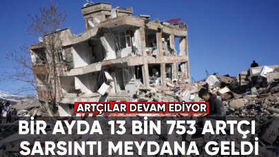 Bir ayda 13 bin 753 artçı sarsıntı meydana geldi