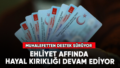 Ehliyet affı çıkacak mı? 2023 Ehliyet affı son dakika gelişmeleri