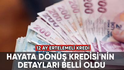 Hayata Dönüş Kredisi'nin detayları belli oldu