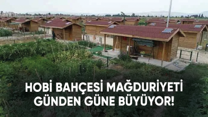 Hobi bahçesi mağduriyeti günden günde büyüyor!