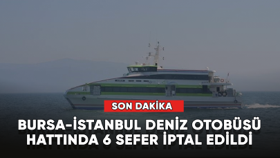 Son dakika... Bursa-İstanbul deniz otobüsü hattında 6 sefer iptal edildi