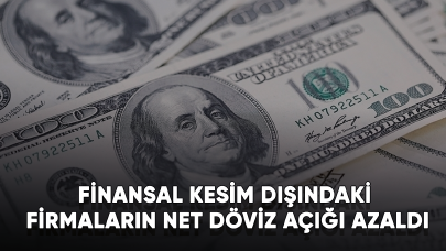 Finansal kesim dışındaki firmaların net döviz açığı azaldı