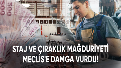 Staj ve çıraklık mağduriyeti Meclis'e damga vurdu!