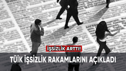 TÜİK yeni işsizlik rakamlarını açıkladı