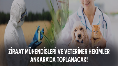 Ziraat mühendisleri ve Veteriner hekimler Ankara'da toplanacak!