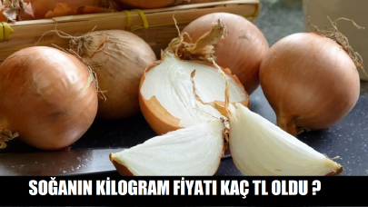 Soğanın kilogram fiyatı kaç TL oldu ?